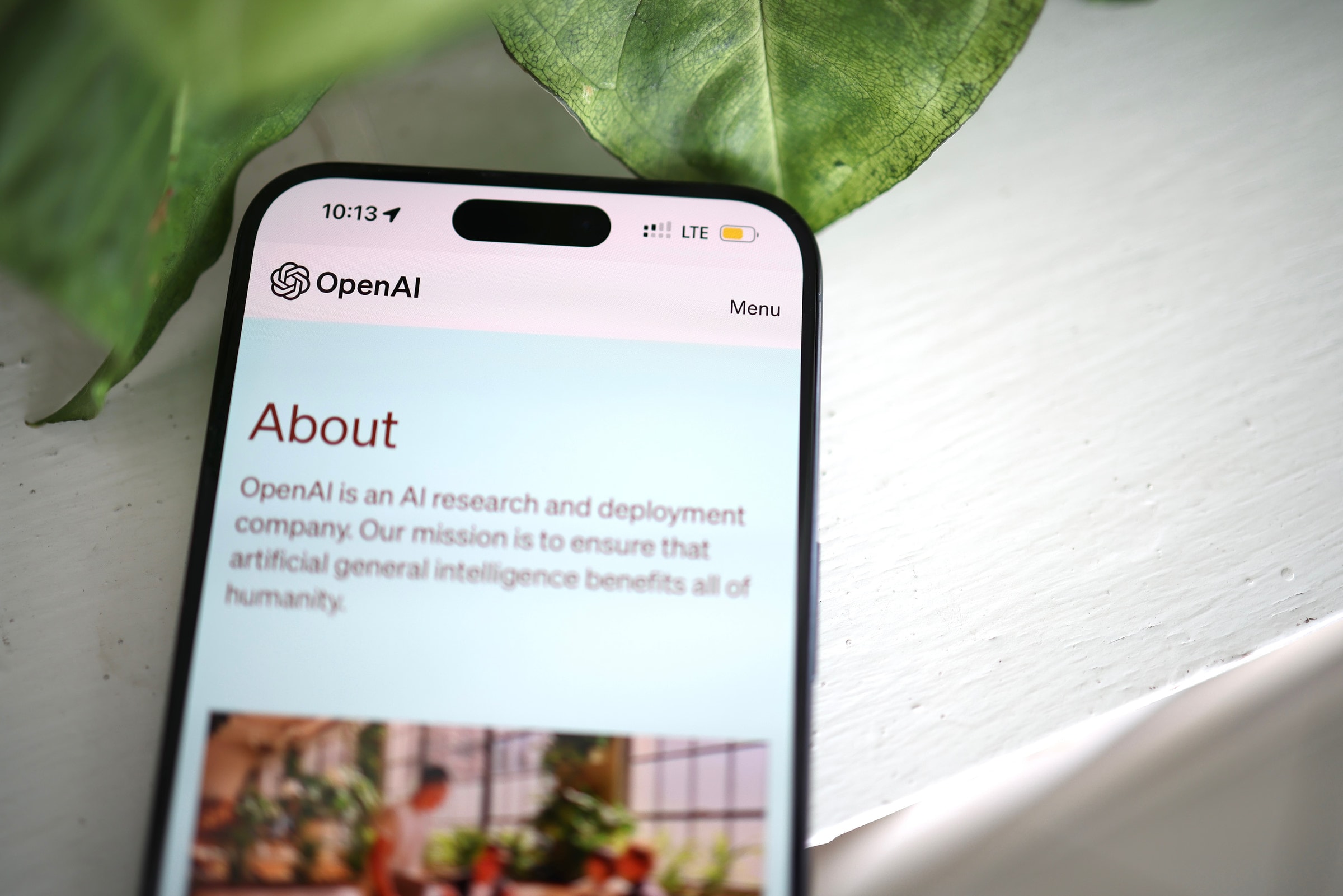Close-up shot of a smartphone screen showing the OpenAI website with greenery in the background.